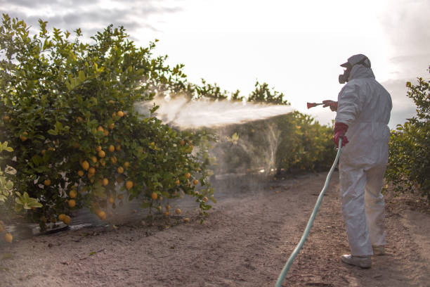 Seasonal Pest Control in South Salt Lake, UT